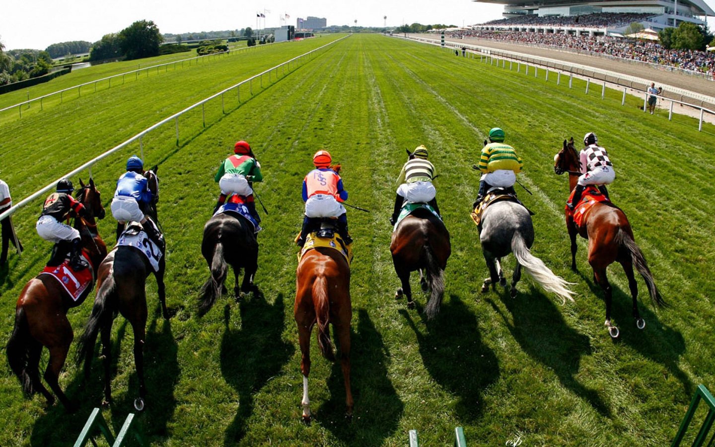 where to place a horse bet