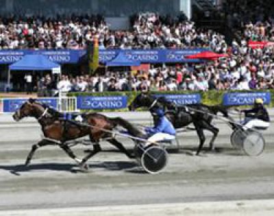 Kiwis-prefer-betting-on-the-horses