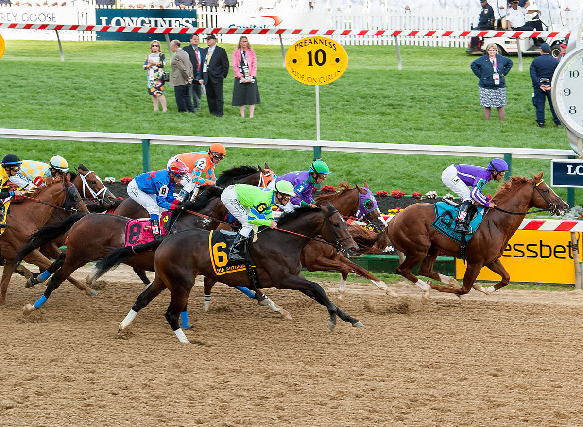 Types Of Horse Racing